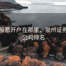 泉州股票开户在那里，泉州证券公司公司排名