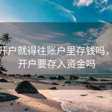 股票开户就得往账户里存钱吗，股票开户要存入资金吗