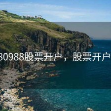 17880988股票开户，股票开户百科