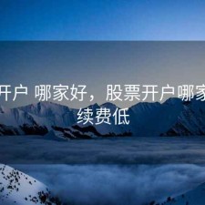 股票开户 哪家好，股票开户哪家好手续费低