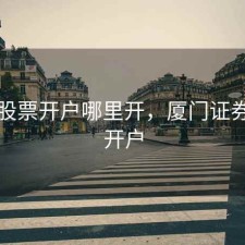 厦门股票开户哪里开，厦门证券公司开户