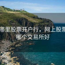 网上哪里股票开户行，网上股票开户哪个交易所好
