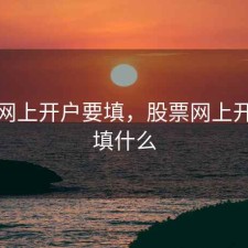 股票网上开户要填，股票网上开户要填什么