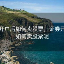 证券开户后如何卖股票，证券开户后如何卖股票呢