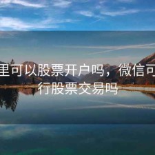 微信里可以股票开户吗，微信可以进行股票交易吗