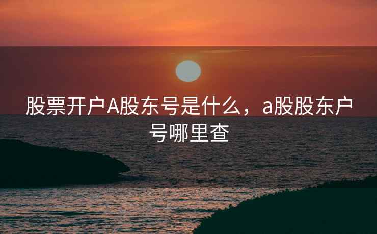 股票开户A股东号是什么，a股股东户号哪里查  第1张