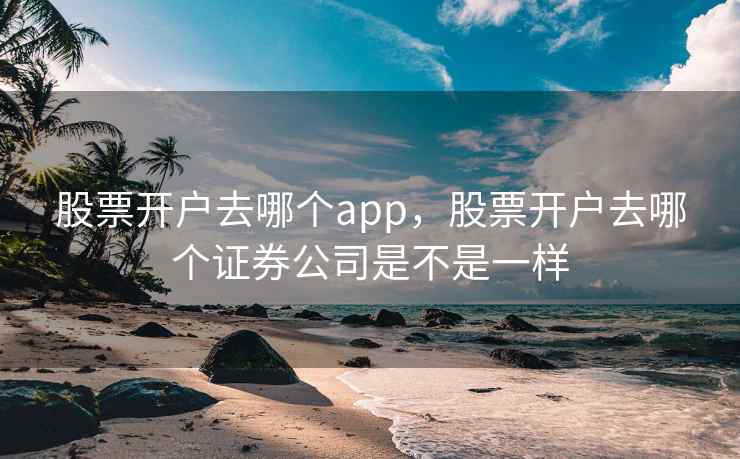 股票开户去哪个app，股票开户去哪个证券公司是不是一样  第2张