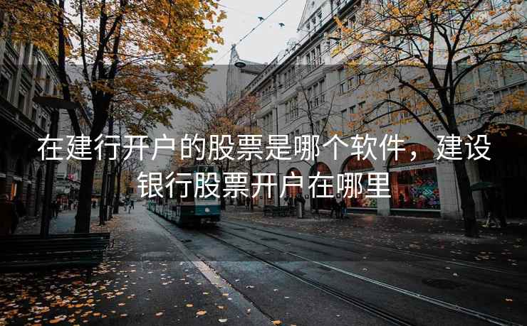 在建行开户的股票是哪个软件，建设银行股票开户在哪里  第1张