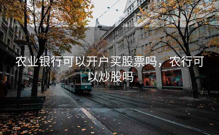 农业银行可以开户买股票吗，农行可以炒股吗  第2张