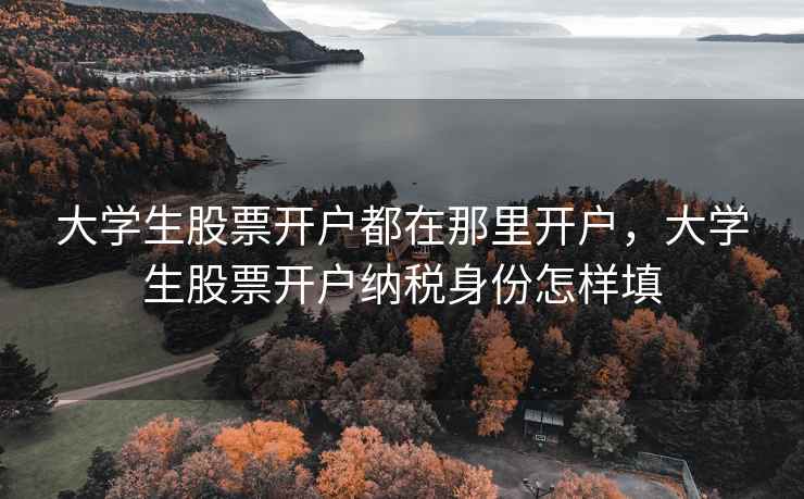 大学生股票开户都在那里开户，大学生股票开户纳税身份怎样填  第1张