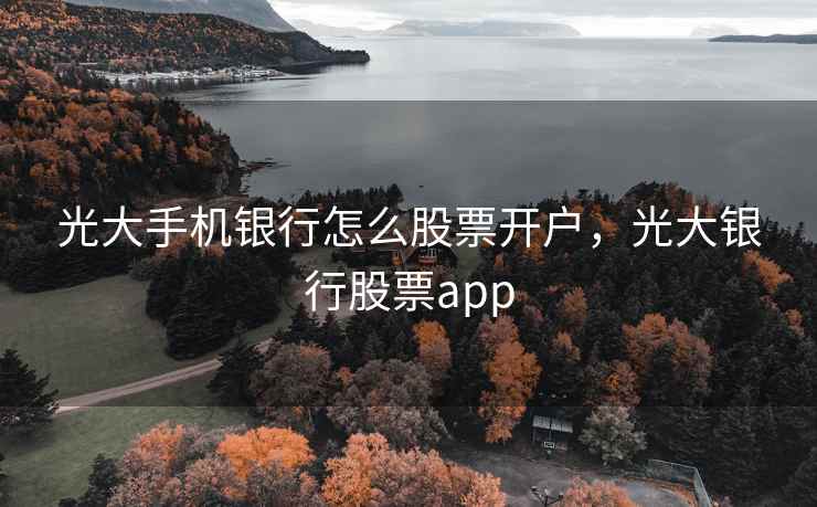 光大手机银行怎么股票开户,光大银行股票app 第2张 光大手机银行怎么股票开户,光大银行股票app 第2张