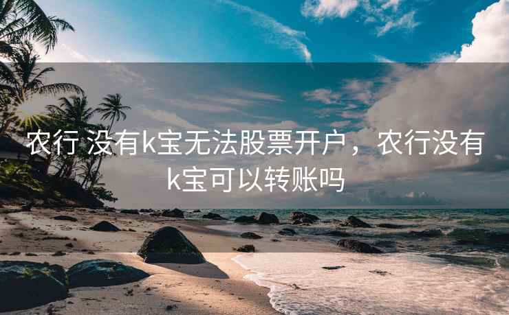 农行 没有k宝无法股票开户，农行没有k宝可以转账吗  第1张