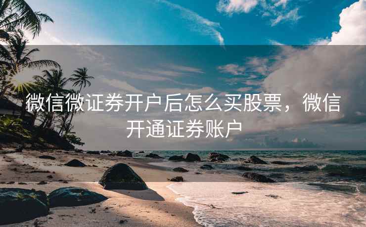 微信微证券开户后怎么买股票，微信开通证券账户  第2张