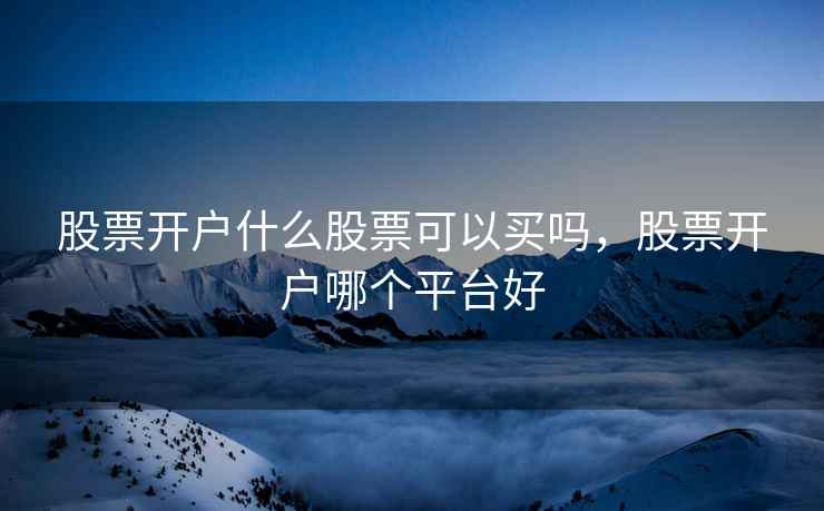 股票开户什么股票可以买吗，股票开户哪个平台好  第1张