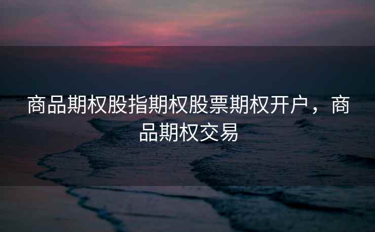 商品期权股指期权股票期权开户，商品期权交易  第2张